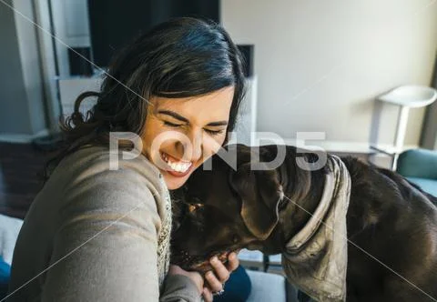 Mixed Race woman hugging dog Stock-Fotos