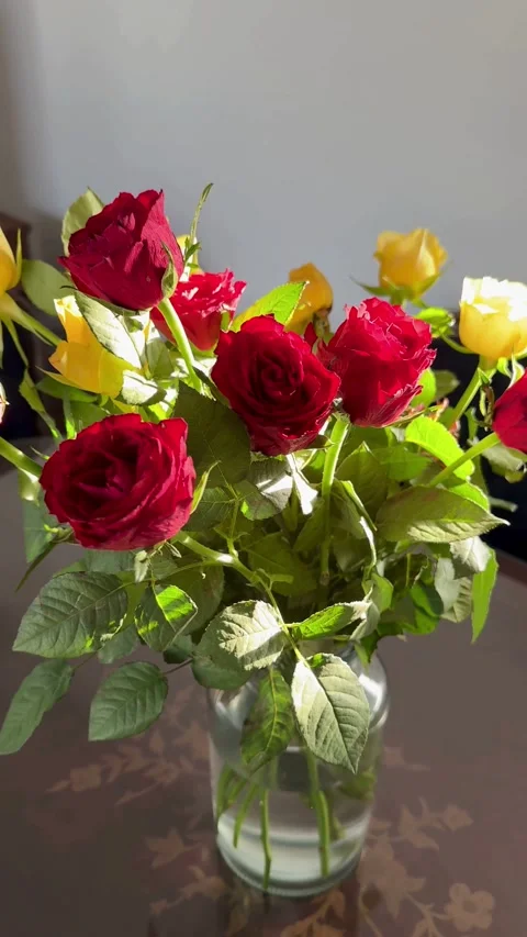 Mixed red and yellow roses in a glass vase Stock Footage 334592616