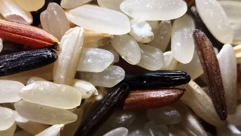 Mixed Rice Close Up Seeds Macro Rotation Stock Footage 93801848