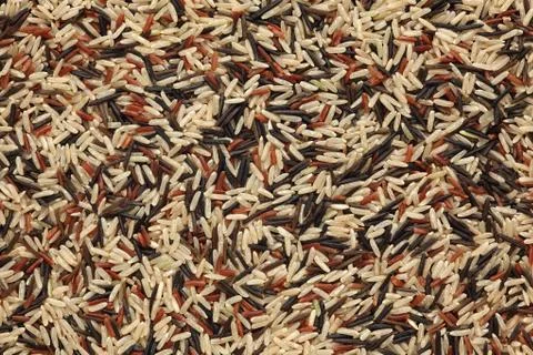 Mixed rice Stock Photos