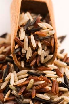 Mixed rice Stock Photos