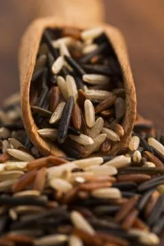 Mixed rice Stock Photos