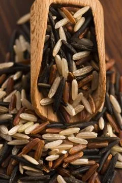 Mixed rice Stock Photos