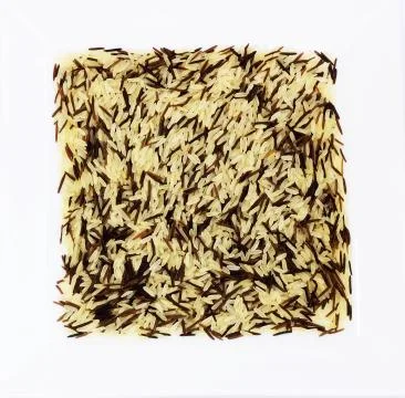 Mixed Rice Stock Photos