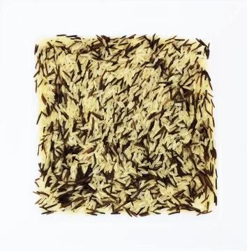 Mixed Rice Foto stock