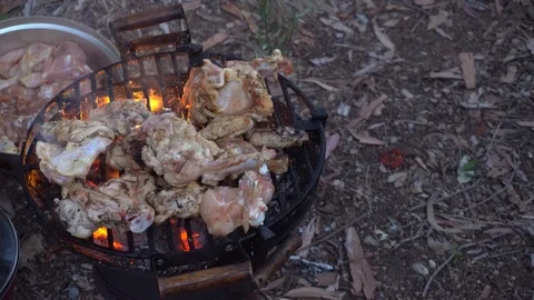 Mixed Roasted Meat And Vegetable Barbecue Grill. Stock Footage 96723865