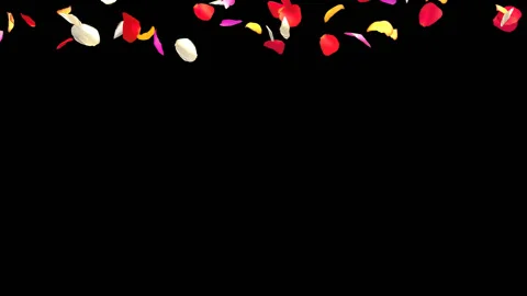 Mixed Rose Petals Fall Video stock 89248015
