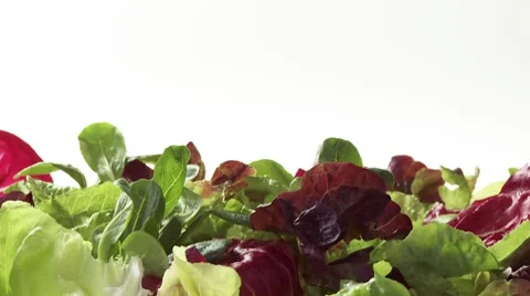 Mixed salad leaves Stock Footage 8571036