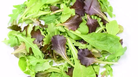 Mixed salad with lettuce, red lettuce, rocket, romaine lettuce, baby spinach, on Stock Footage 342190156