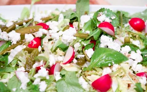 Mixed salad 写真素材