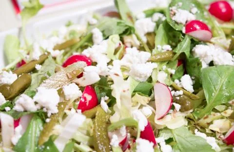 Mixed Salad 写真素材