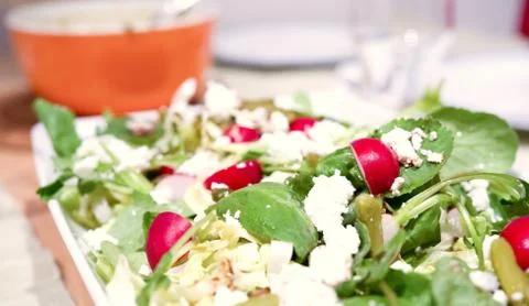 Mixed Salad 写真素材