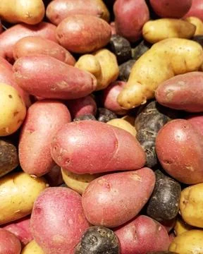 Mixed salad potatoes Stock Photos