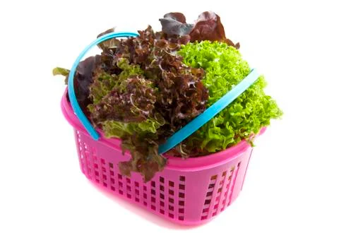 Mixed salat Stock Photos