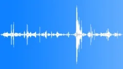 Mixed Seabird Colony AtmosphereSound Effect