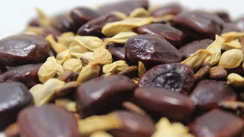 Mixed seed in HD Stock Footage 132260859