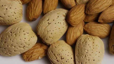 Mixed shelled and in shell almonds rotating together Video stock 328143225