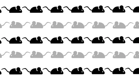 Mixed Size Mouse Pattern Texture Stock Footage 336838296