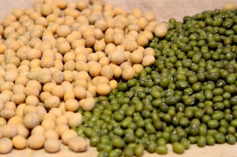 Mixed soya beans Stock Photos