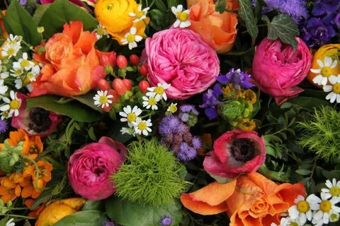 Mixed spring bouquet Stock Photos