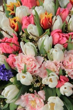 Mixed spring bouquet Foto stock