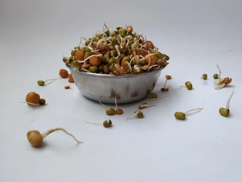 Mixed Sprouts in a Steel Cup isolated on white Background Stock Photos