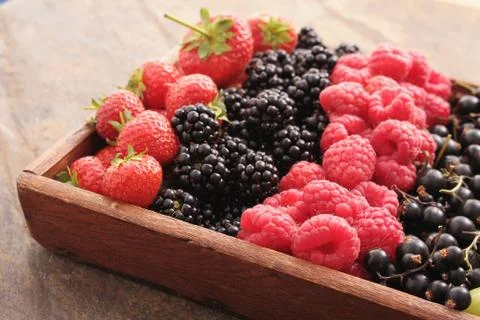 Mixed summer fruit Stock Photos