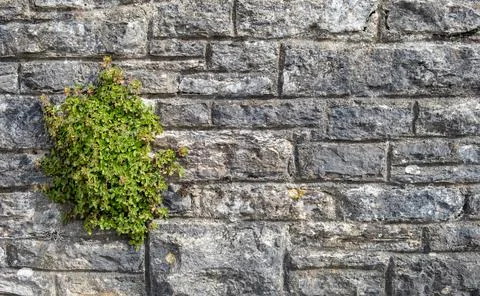 Mixed texture of stone and bricks on the wall of an ancient mill Fotos de archivo