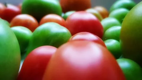 Mixed tomatoes Stock Photos