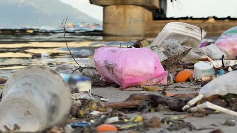 Mixed trash covers a sandy river beach, underscoring widespread contamination Video stock 325431990