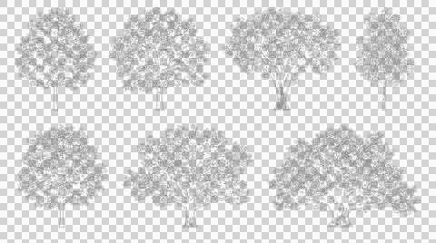 Mixed tree species set in elevation view isolated on transparent background.. Stock Illustration