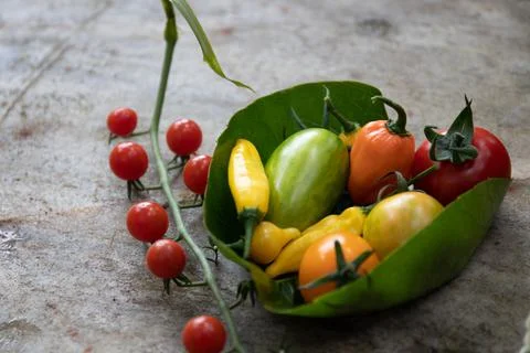 Mixed vegetable in a green Leaf Stock Photos