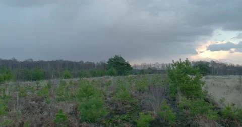 Mixed weather condition and clouds in peat bog moor nature landscape  Stock Footage 170933635