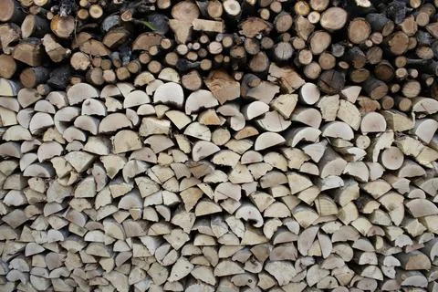 Mixed wood logs stack with branches Stock Photos