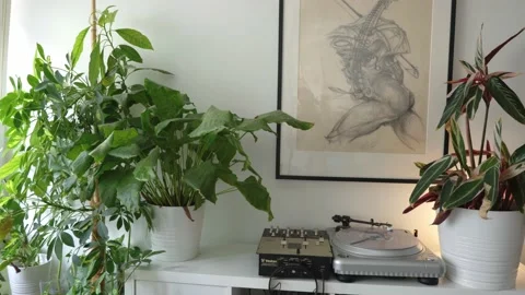 Mixer Turntable3 4k Video stock 157465454