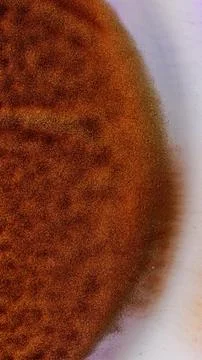 Mixing alcohol ink in macro view shows colors blending on a surface Stock Illustration
