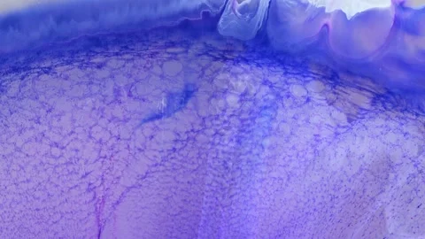 Mixing alcohol inks and epoxy resin with different colors in close-up view Stock Footage 342977118