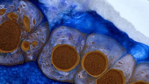 Mixing alcohol inks and epoxy resin with different colors close-up Stock Illustration