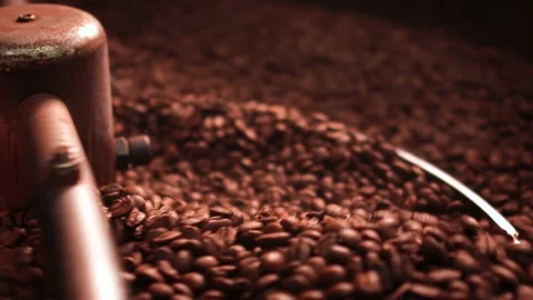 Mixing and roasting brown coffee beans on cooling plate. Stock Footage 147103105