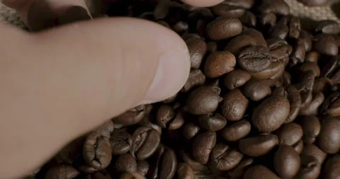 Mixing and selecting coffee beans Stockbeeldmateriaal 232268802