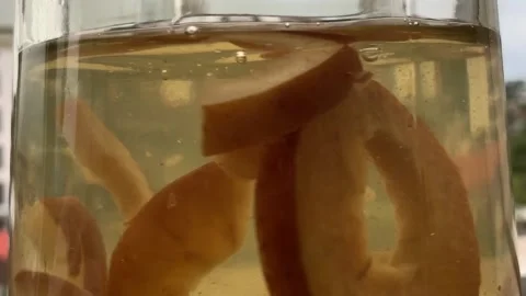 Mixing an Apple Tea with a Spoon 스톡 동영상 146927993