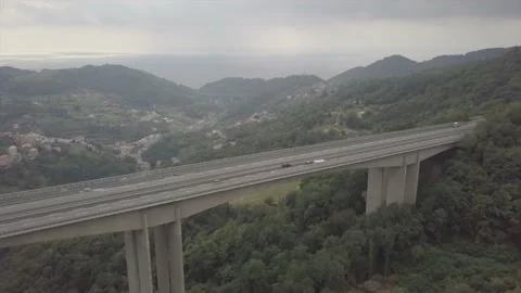 Mixing the city bridge with nature. Stock Footage 150108758