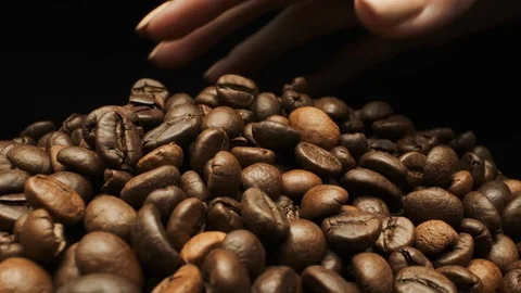 Mixing Coffee Beans. Close-up. Stock Footage 108804828
