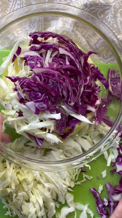 Mixing coleslaw vertical Stock Footage 219514490