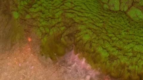 Mixing different colored alcohol inks in a close-up view Stock Footage 342142310