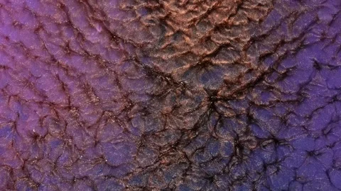 Mixing different colored alcohol inks for art projects Stock Footage 342264081