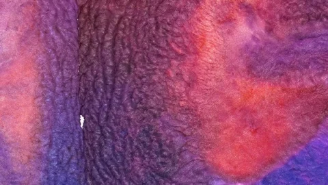 Mixing different colored alcohol inks in a close-up view Stock-Footage 342353817
