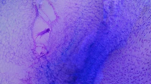 Mixing different colored alcohol inks and epoxy resin on a surface Stock Footage 342977248