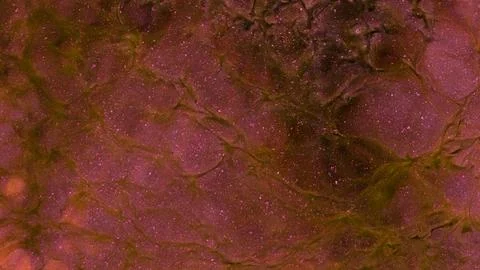 Mixing different colored alcohol inks creates unique patterns and textures Stock Photos