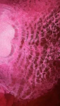 Mixing different colored alcohol inks in a close-up view Stock Photos